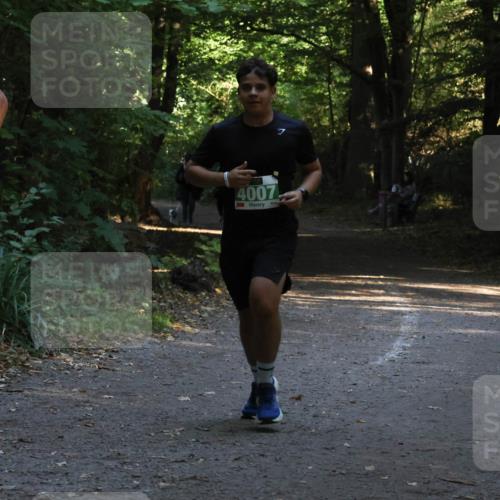 28.09.2025 - 33. Volkslauf durch das schöne Alstertal Strokosch-Dieckow http://msf.ph/oto/8968033 28.09.2025 10:51:36 Laufen 73, 4007 meine-sportfotos.de