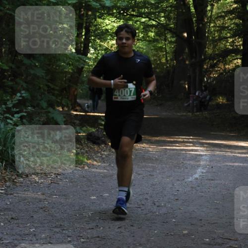 28.09.2025 - 33. Volkslauf durch das schöne Alstertal Strokosch-Dieckow http://msf.ph/oto/8968034 28.09.2025 10:51:36 Laufen 4007 meine-sportfotos.de