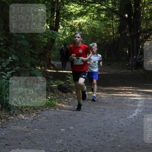 28.09.2025 - 33. Volkslauf durch das schöne Alstertal Strokosch-Dieckow http://msf.ph/oto/8968035 28.09.2025 10:51:39 Laufen 4185, 978 meine-sportfotos.de