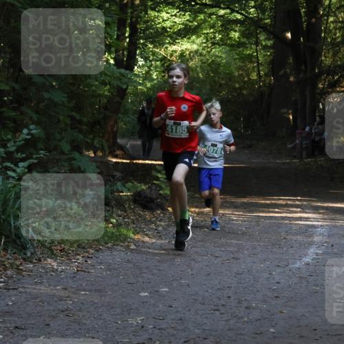 28.09.2025 - 33. Volkslauf durch das schöne Alstertal Strokosch-Dieckow http://msf.ph/oto/8968037 28.09.2025 10:51:39 Laufen 4185, 4078 meine-sportfotos.de