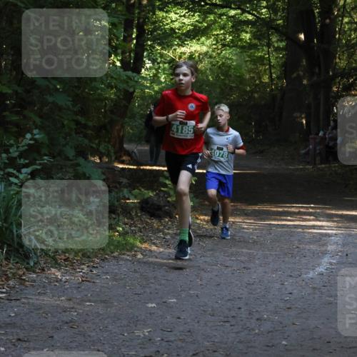28.09.2025 - 33. Volkslauf durch das schöne Alstertal Strokosch-Dieckow http://msf.ph/oto/8968038 28.09.2025 10:51:39 Laufen 4185, 078 meine-sportfotos.de