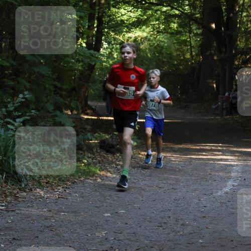 28.09.2025 - 33. Volkslauf durch das schöne Alstertal Strokosch-Dieckow http://msf.ph/oto/8968039 28.09.2025 10:51:39 Laufen 4078 meine-sportfotos.de
