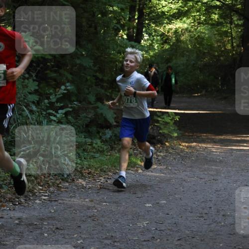 28.09.2025 - 33. Volkslauf durch das schöne Alstertal Strokosch-Dieckow http://msf.ph/oto/8968041 28.09.2025 10:51:41 Laufen 4185, 02, 078 meine-sportfotos.de