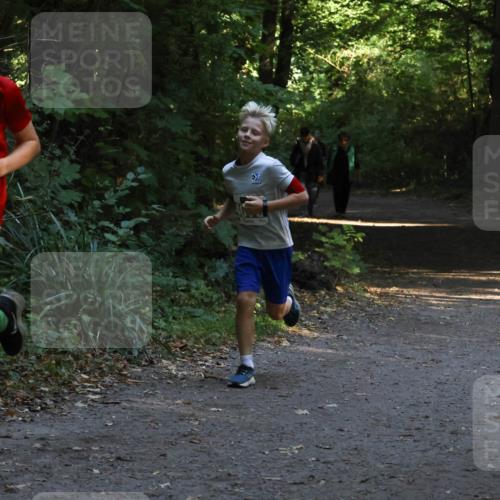 28.09.2025 - 33. Volkslauf durch das schöne Alstertal Strokosch-Dieckow http://msf.ph/oto/8968042 28.09.2025 10:51:41 Laufen 418 meine-sportfotos.de