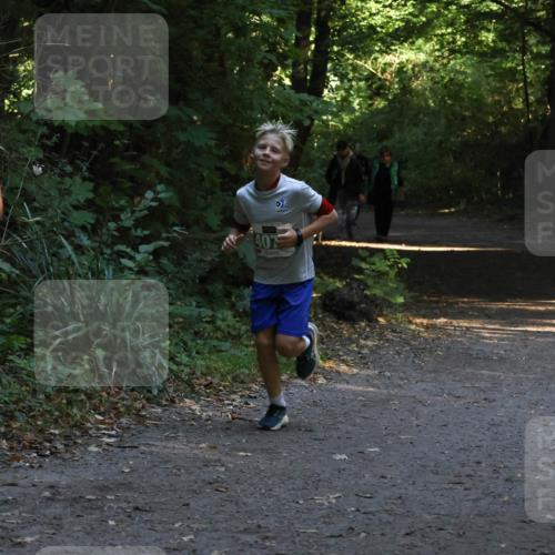 28.09.2025 - 33. Volkslauf durch das schöne Alstertal Strokosch-Dieckow http://msf.ph/oto/8968044 28.09.2025 10:51:41 Laufen 410, 407 meine-sportfotos.de