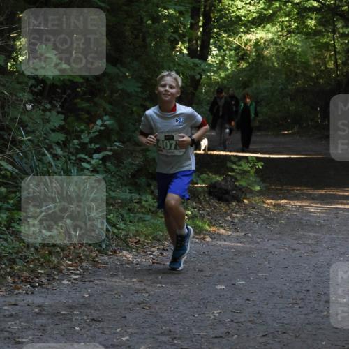 28.09.2025 - 33. Volkslauf durch das schöne Alstertal Strokosch-Dieckow http://msf.ph/oto/8968045 28.09.2025 10:51:41 Laufen 85, 407 meine-sportfotos.de