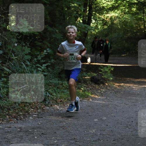 28.09.2025 - 33. Volkslauf durch das schöne Alstertal Strokosch-Dieckow http://msf.ph/oto/8968047 28.09.2025 10:51:41 Laufen 078 meine-sportfotos.de