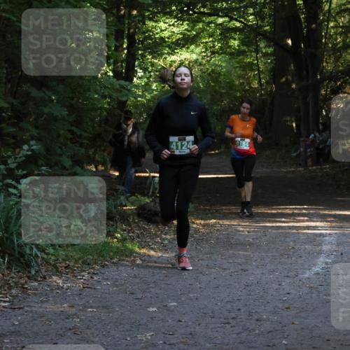 28.09.2025 - 33. Volkslauf durch das schöne Alstertal Strokosch-Dieckow http://msf.ph/oto/8968048 28.09.2025 10:51:51 Laufen 4124, 4184 meine-sportfotos.de