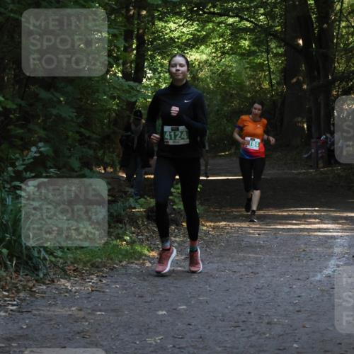 28.09.2025 - 33. Volkslauf durch das schöne Alstertal Strokosch-Dieckow http://msf.ph/oto/8968051 28.09.2025 10:51:51 Laufen 4124, 184 meine-sportfotos.de