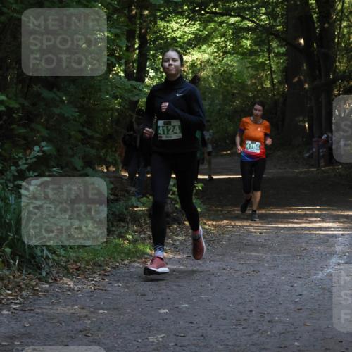 28.09.2025 - 33. Volkslauf durch das schöne Alstertal Strokosch-Dieckow http://msf.ph/oto/8968052 28.09.2025 10:51:51 Laufen 4124, 4184 meine-sportfotos.de