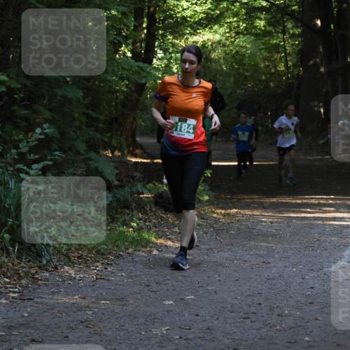 28.09.2025 - 33. Volkslauf durch das schöne Alstertal Strokosch-Dieckow http://msf.ph/oto/8968055 28.09.2025 10:51:54 Laufen 184 meine-sportfotos.de