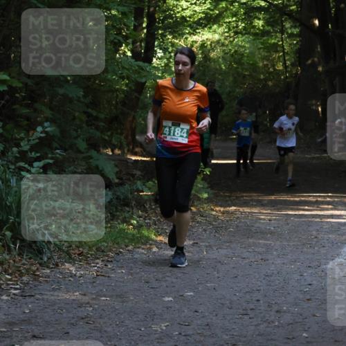 28.09.2025 - 33. Volkslauf durch das schöne Alstertal Strokosch-Dieckow http://msf.ph/oto/8968056 28.09.2025 10:51:54 Laufen 4184 meine-sportfotos.de