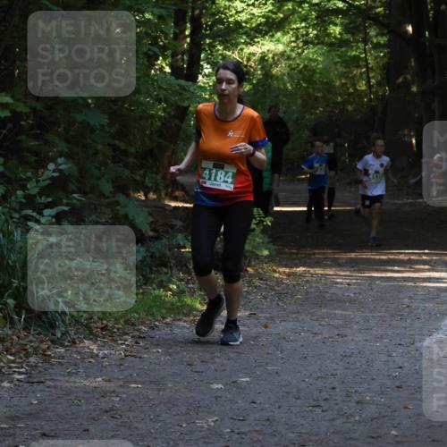 28.09.2025 - 33. Volkslauf durch das schöne Alstertal Strokosch-Dieckow http://msf.ph/oto/8968057 28.09.2025 10:51:54 Laufen 4184 meine-sportfotos.de