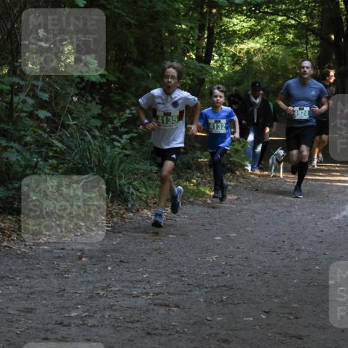 28.09.2025 - 33. Volkslauf durch das schöne Alstertal Strokosch-Dieckow http://msf.ph/oto/8968059 28.09.2025 10:51:59 Laufen 4135, 4132, 4924 meine-sportfotos.de
