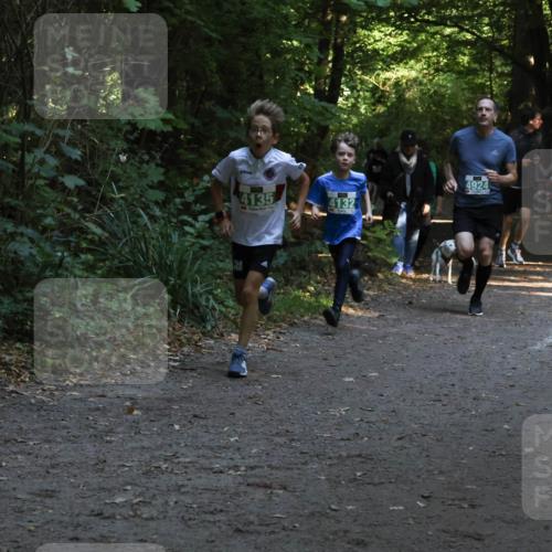 28.09.2025 - 33. Volkslauf durch das schöne Alstertal Strokosch-Dieckow http://msf.ph/oto/8968061 28.09.2025 10:51:59 Laufen 4135, 4132, 4924 meine-sportfotos.de