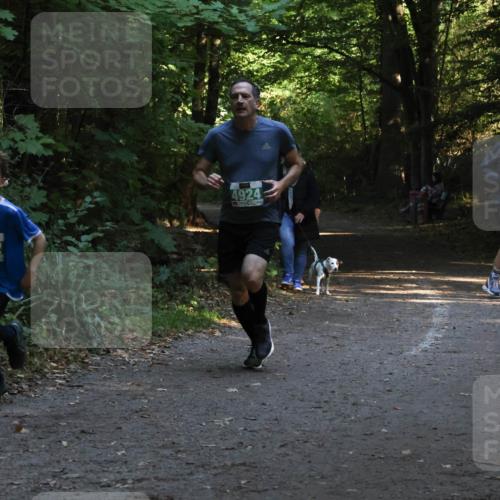 28.09.2025 - 33. Volkslauf durch das schöne Alstertal Strokosch-Dieckow http://msf.ph/oto/8968062 28.09.2025 10:52:00 Laufen 132, 4924 meine-sportfotos.de