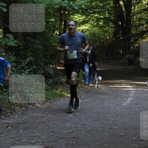 28.09.2025 - 33. Volkslauf durch das schöne Alstertal Strokosch-Dieckow http://msf.ph/oto/8968063 28.09.2025 10:52:00 Laufen 4132, 4924 meine-sportfotos.de