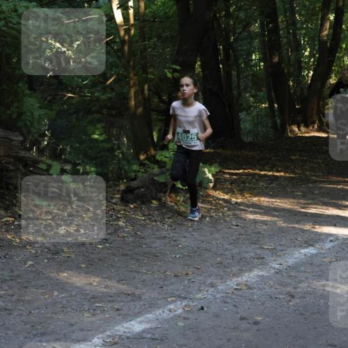 28.09.2025 - 33. Volkslauf durch das schöne Alstertal Strokosch-Dieckow http://msf.ph/oto/8968064 28.09.2025 10:52:32 Laufen 4025 meine-sportfotos.de