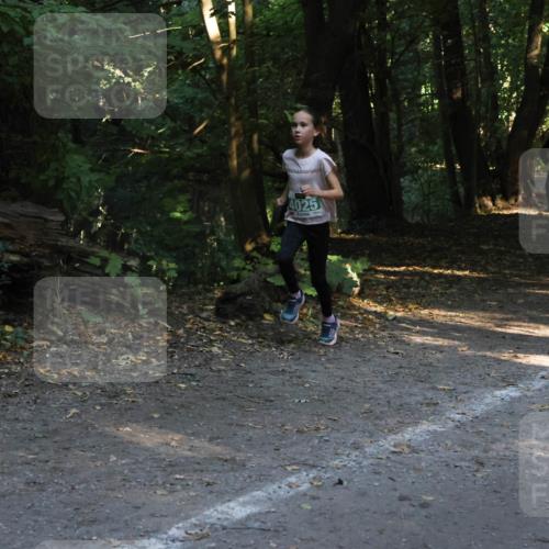 28.09.2025 - 33. Volkslauf durch das schöne Alstertal Strokosch-Dieckow http://msf.ph/oto/8968066 28.09.2025 10:52:32 Laufen 4025 meine-sportfotos.de