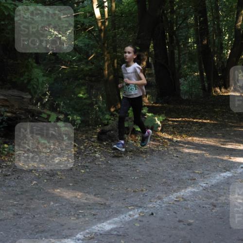 28.09.2025 - 33. Volkslauf durch das schöne Alstertal Strokosch-Dieckow http://msf.ph/oto/8968069 28.09.2025 10:52:32 Laufen 4025 meine-sportfotos.de