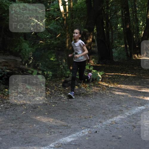 28.09.2025 - 33. Volkslauf durch das schöne Alstertal Strokosch-Dieckow http://msf.ph/oto/8968070 28.09.2025 10:52:32 Laufen  meine-sportfotos.de