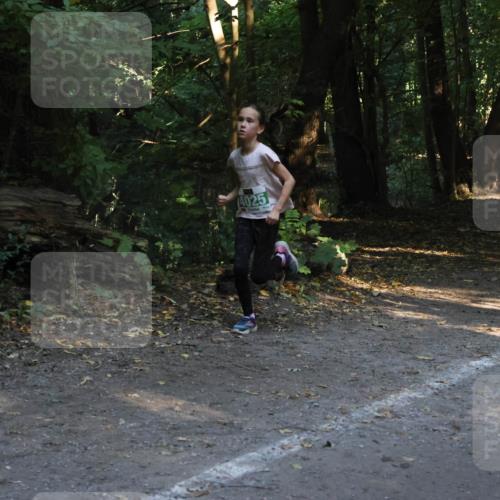 28.09.2025 - 33. Volkslauf durch das schöne Alstertal Strokosch-Dieckow http://msf.ph/oto/8968072 28.09.2025 10:52:32 Laufen 4025 meine-sportfotos.de