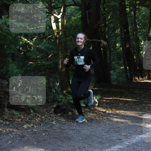 28.09.2025 - 33. Volkslauf durch das schöne Alstertal Strokosch-Dieckow http://msf.ph/oto/8968073 28.09.2025 10:52:35 Laufen 4115 meine-sportfotos.de