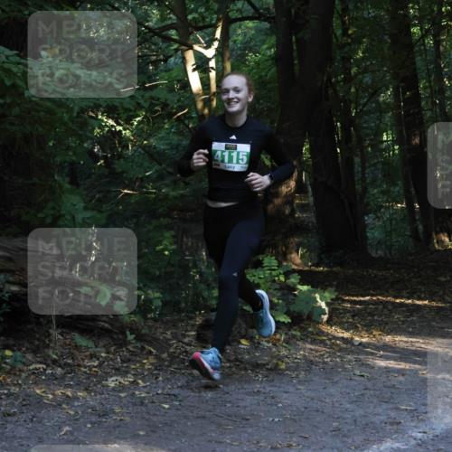 28.09.2025 - 33. Volkslauf durch das schöne Alstertal Strokosch-Dieckow http://msf.ph/oto/8968077 28.09.2025 10:52:35 Laufen 4115 meine-sportfotos.de