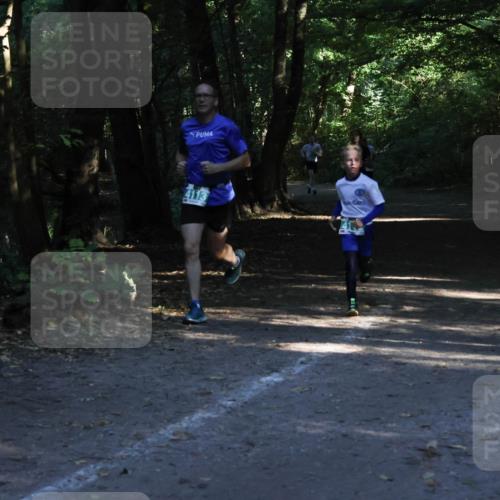 28.09.2025 - 33. Volkslauf durch das schöne Alstertal Strokosch-Dieckow http://msf.ph/oto/8968081 28.09.2025 10:52:53 Laufen 4113 meine-sportfotos.de