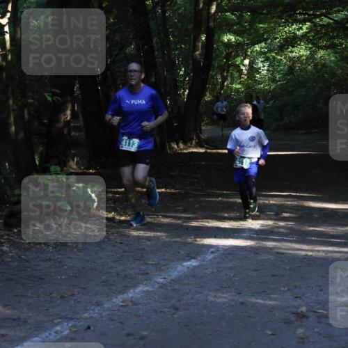 28.09.2025 - 33. Volkslauf durch das schöne Alstertal Strokosch-Dieckow http://msf.ph/oto/8968084 28.09.2025 10:52:54 Laufen 4113 meine-sportfotos.de