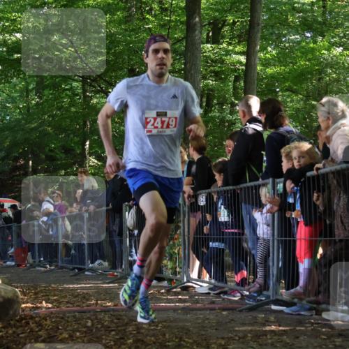 28.09.2025 - 33. Volkslauf durch das schöne Alstertal Strokosch-Dieckow http://msf.ph/oto/8968086 28.09.2025 11:48:08 Ziel 2479 meine-sportfotos.de