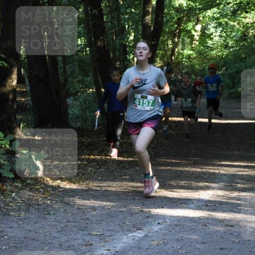 28.09.2025 - 33. Volkslauf durch das schöne Alstertal Strokosch-Dieckow http://msf.ph/oto/8968093 28.09.2025 10:53:30 Laufen 4157, 4047, 4035 meine-sportfotos.de