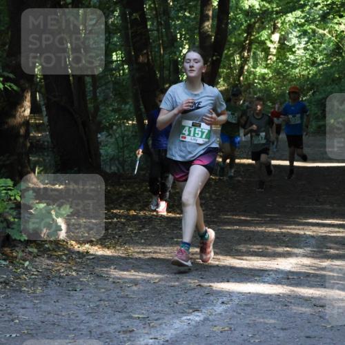 28.09.2025 - 33. Volkslauf durch das schöne Alstertal Strokosch-Dieckow http://msf.ph/oto/8968095 28.09.2025 10:53:30 Laufen 4157, 4047, 4035 meine-sportfotos.de