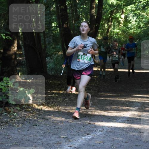 28.09.2025 - 33. Volkslauf durch das schöne Alstertal Strokosch-Dieckow http://msf.ph/oto/8968096 28.09.2025 10:53:30 Laufen 4157, 403, 4047 meine-sportfotos.de