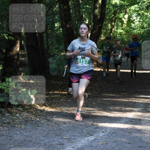28.09.2025 - 33. Volkslauf durch das schöne Alstertal Strokosch-Dieckow http://msf.ph/oto/8968098 28.09.2025 10:53:30 Laufen 4157, 4047 meine-sportfotos.de