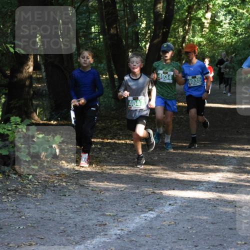 28.09.2025 - 33. Volkslauf durch das schöne Alstertal Strokosch-Dieckow http://msf.ph/oto/8968099 28.09.2025 10:53:33 Laufen 4047, 4034, 4035, 418 meine-sportfotos.de