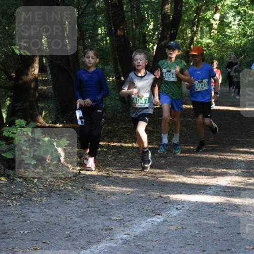 28.09.2025 - 33. Volkslauf durch das schöne Alstertal Strokosch-Dieckow http://msf.ph/oto/8968100 28.09.2025 10:53:33 Laufen 4047, 4034, 4035, 418 meine-sportfotos.de