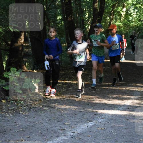 28.09.2025 - 33. Volkslauf durch das schöne Alstertal Strokosch-Dieckow http://msf.ph/oto/8968102 28.09.2025 10:53:33 Laufen 4047, 40, 4035, 418 meine-sportfotos.de