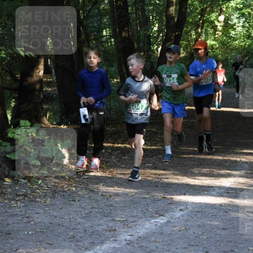 28.09.2025 - 33. Volkslauf durch das schöne Alstertal Strokosch-Dieckow http://msf.ph/oto/8968103 28.09.2025 10:53:33 Laufen 4047, 4034, 035, 18 meine-sportfotos.de