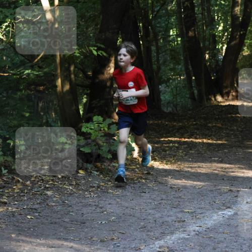 28.09.2025 - 33. Volkslauf durch das schöne Alstertal Strokosch-Dieckow http://msf.ph/oto/8968105 28.09.2025 10:53:39 Laufen 44 meine-sportfotos.de