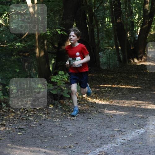 28.09.2025 - 33. Volkslauf durch das schöne Alstertal Strokosch-Dieckow http://msf.ph/oto/8968106 28.09.2025 10:53:39 Laufen  meine-sportfotos.de