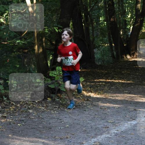 28.09.2025 - 33. Volkslauf durch das schöne Alstertal Strokosch-Dieckow http://msf.ph/oto/8968107 28.09.2025 10:53:39 Laufen 4040 meine-sportfotos.de