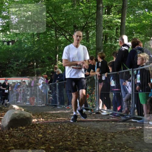 28.09.2025 - 33. Volkslauf durch das schöne Alstertal Strokosch-Dieckow http://msf.ph/oto/8968108 28.09.2025 11:48:19 Ziel 1596, 3077 meine-sportfotos.de