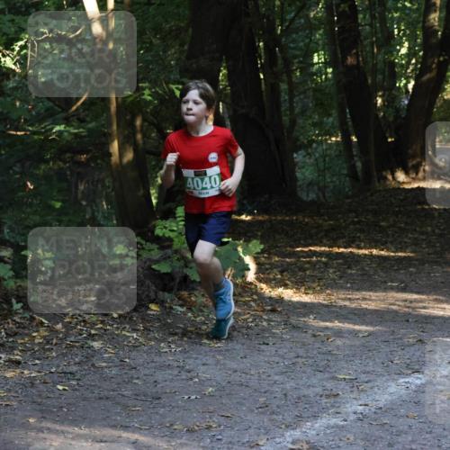 28.09.2025 - 33. Volkslauf durch das schöne Alstertal Strokosch-Dieckow http://msf.ph/oto/8968109 28.09.2025 10:53:39 Laufen 4040 meine-sportfotos.de