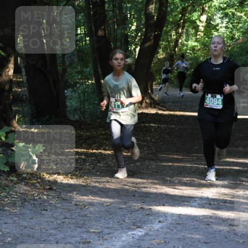 28.09.2025 - 33. Volkslauf durch das schöne Alstertal Strokosch-Dieckow http://msf.ph/oto/8968110 28.09.2025 10:53:41 Laufen 411, 4094 meine-sportfotos.de