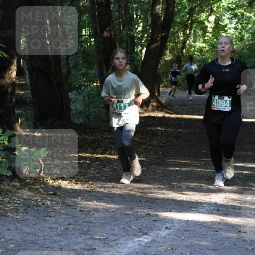 28.09.2025 - 33. Volkslauf durch das schöne Alstertal Strokosch-Dieckow http://msf.ph/oto/8968111 28.09.2025 10:53:42 Laufen 41117, 4094 meine-sportfotos.de