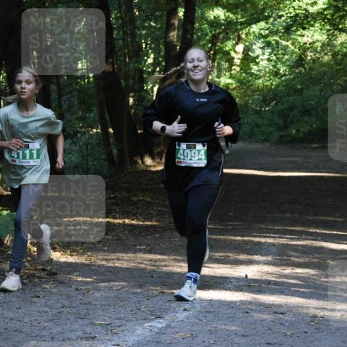 28.09.2025 - 33. Volkslauf durch das schöne Alstertal Strokosch-Dieckow http://msf.ph/oto/8968114 28.09.2025 10:53:42 Laufen 4111, 4094 meine-sportfotos.de