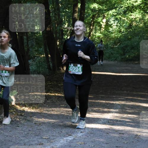 28.09.2025 - 33. Volkslauf durch das schöne Alstertal Strokosch-Dieckow http://msf.ph/oto/8968117 28.09.2025 10:53:42 Laufen 4094 meine-sportfotos.de