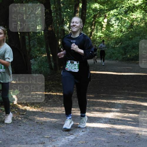 28.09.2025 - 33. Volkslauf durch das schöne Alstertal Strokosch-Dieckow http://msf.ph/oto/8968118 28.09.2025 10:53:43 Laufen 4111, 4094 meine-sportfotos.de