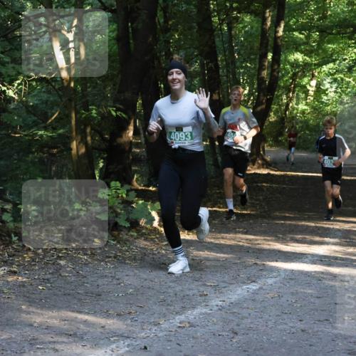 28.09.2025 - 33. Volkslauf durch das schöne Alstertal Strokosch-Dieckow http://msf.ph/oto/8968119 28.09.2025 10:53:52 Laufen 4093 meine-sportfotos.de
